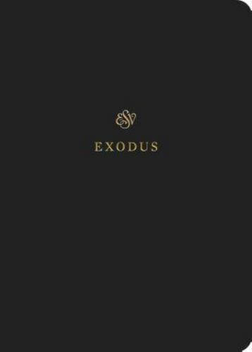 Esv scripture journal - scripture,