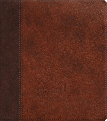 Esv journaling study bible - journaling,
