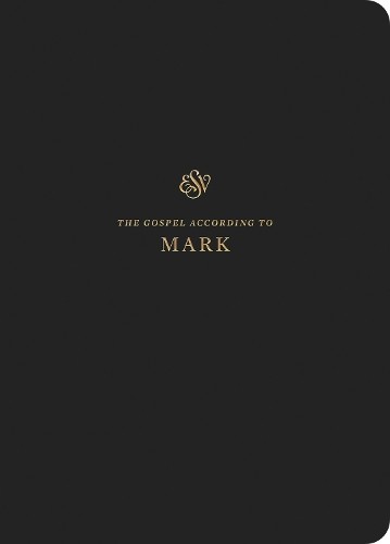 Esv scripture journal - journal, not